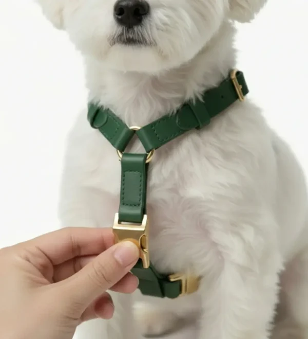 1768644016939 Harness