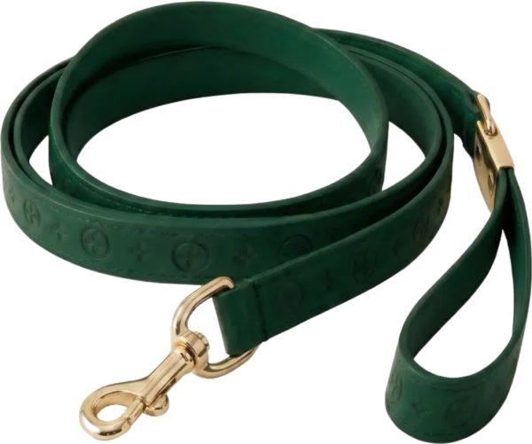 retouch_2026011017065961 Harness